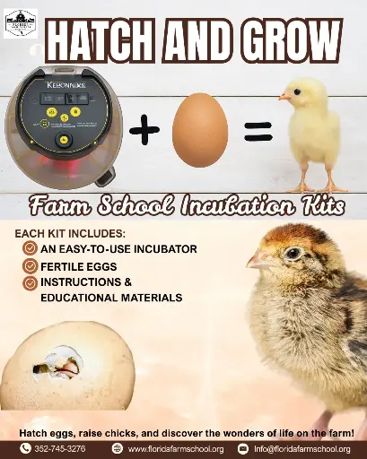 Incubator Rental
